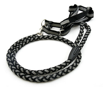 Braided Lumi Dog Leash & Dog Harness Set - Black