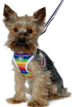 EasyGO Rainbow Dog Harness