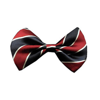 Classic Stripe Navy & Burgundy Dog Bow Tie