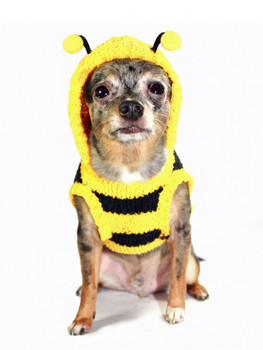 Chenille Bumble Bee Dog Hooded Sweater by Hip Doggie