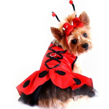 Lady Bug Fairy Dog Costume Dress -Small & Large Dogs