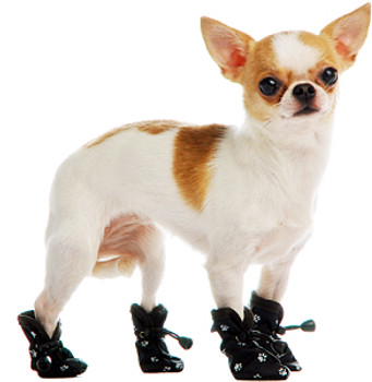 Slip On Paws Dog Boots - Black