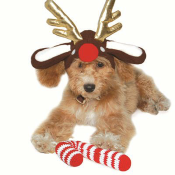 Reindeer Antlers Dog Hat