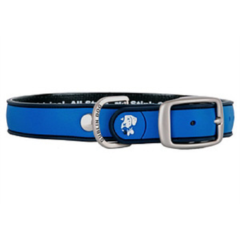 Blue Ribbon Simply Solid Dog Collar