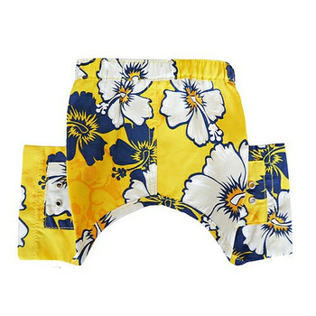 Aruba Dog Swim Trunk or Board Shorts