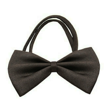Brown Dog Bow Tie - Small & Medium