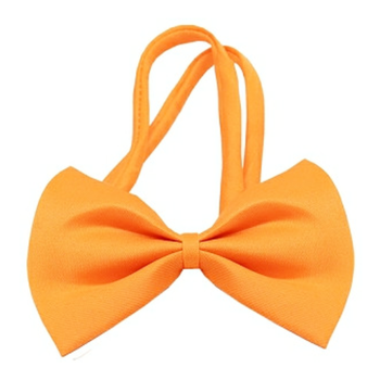 Orange Dog Bow Tie - Small & Medium