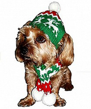 Sassy Knitted Winter Pet Dog Hat & Scarf - Reindeer