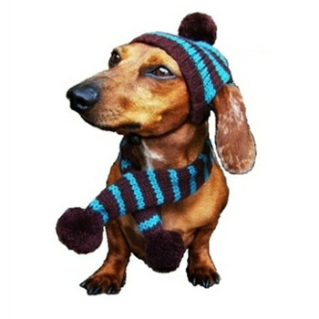 Sassy Knitted Winter Pet Dog Hat & Scarf - Brown & Turquoise