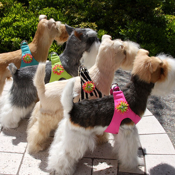 Sea Urchin Dog Step In Harness by Susan Lanci