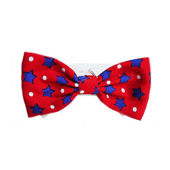 Patriotic Charlie Bow Tie & Dog Collar