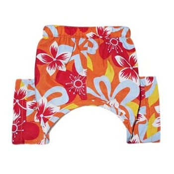 Tasmania Orange Dog Swim Trunk or Board Shorts