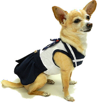 Star Spangled Sailor Knit Dog Dress