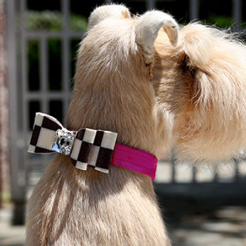 Windsor Check Really Big Bow Dog Collars by Susan Lanci - 2