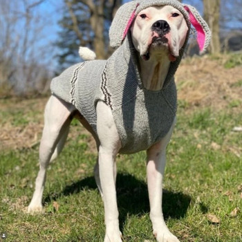 Bunny Hoodie Hand Knit Dog Sweaters
