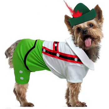 Alpine Boy Pet Dog Costume