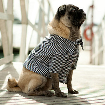 Port Black Gingham Dog Shirt