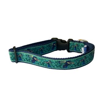 Peacocks 3/4 & 1.25 inch Dog Collar, Harness