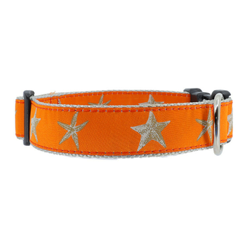 Orange Starfish 3/4 & 1.25 inch Dog Collar, Harness, & Leash