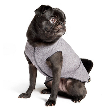 Sun Shield Pet Dog Tee - Grey Heather