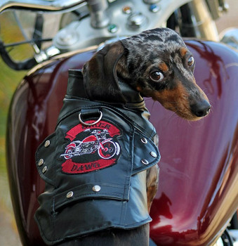 Biker Dawg Dog Jacket - Black