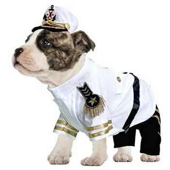 Admiral Pet Dog Costume