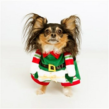 small dog elf costume