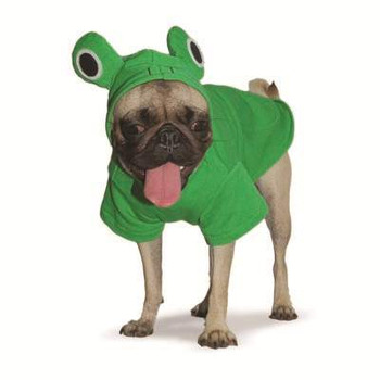 Froggy Dog Sweatshirt / Costume