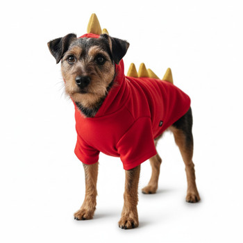 Dragon Dog Sweatshirt / Costume