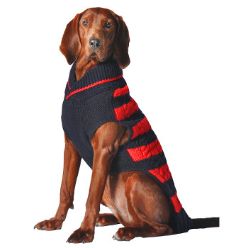 collegiate dog sweaters