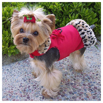 Susan Lanci Velvet Bow Red / Lynx Fur Dog Coat Harness