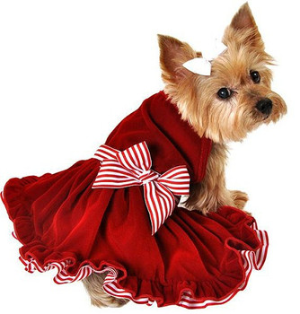 Red Velvet Striped Ribbon Christmas Dog Dress