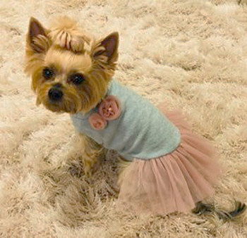 Designer Babyboomer Tutu Dog Dress Designer Babyboomer Tutu Dog Dress