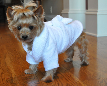 White Silver Tiara Pet Dog Bathrobe