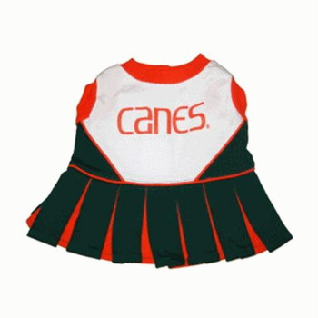 Miami Hurricanes Cheerleader Dog Dress