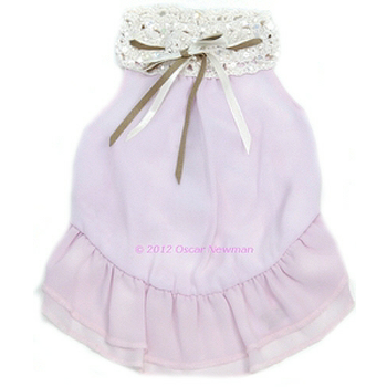 Sheer Bliss Dog Dress