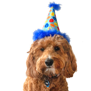 Party Time Blue Dog Hat Party Time Blue Dog Hat