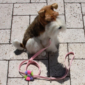 Madison Bow Dog Leash - Susan Lanci