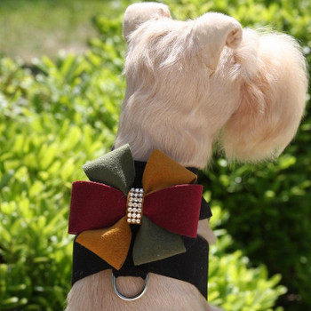Autumn Bow Tinkie Dog Harness