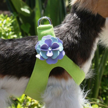 Emma Flowers Dog Step In Harness