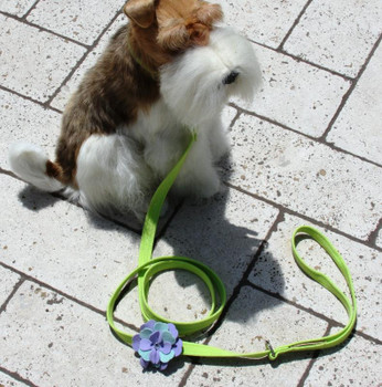 Emma Flowers Dog Collar & optional Leash