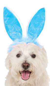 Blue Bunny Ears for Pets