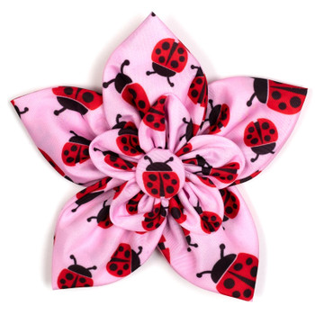 Ladybugs Pet Dog Collar Flower