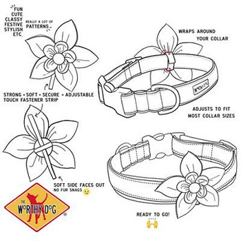 How to put a collar flower on a dog collar diagram