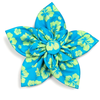 Aloha Turquoise Pet Dog Collar Flower