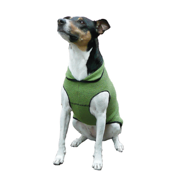 Pet Dog Gold Paw Eco Fleece - Leaf Green