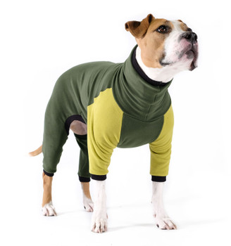 Pet Dog Onesie / Pajama - Hunter/Avocado