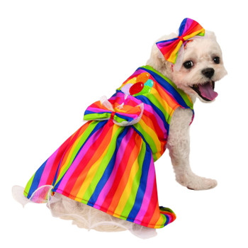 pride dog clothes