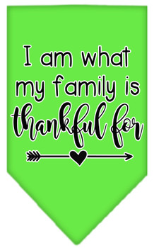 I Am What My Family Is Thankful For Screen Print Dog Bandana - Lime Green
