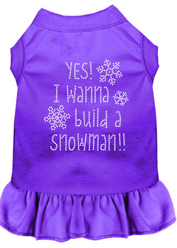 Yes! I Want To Build A Snowman Rhinestone Dog Dress - Purple